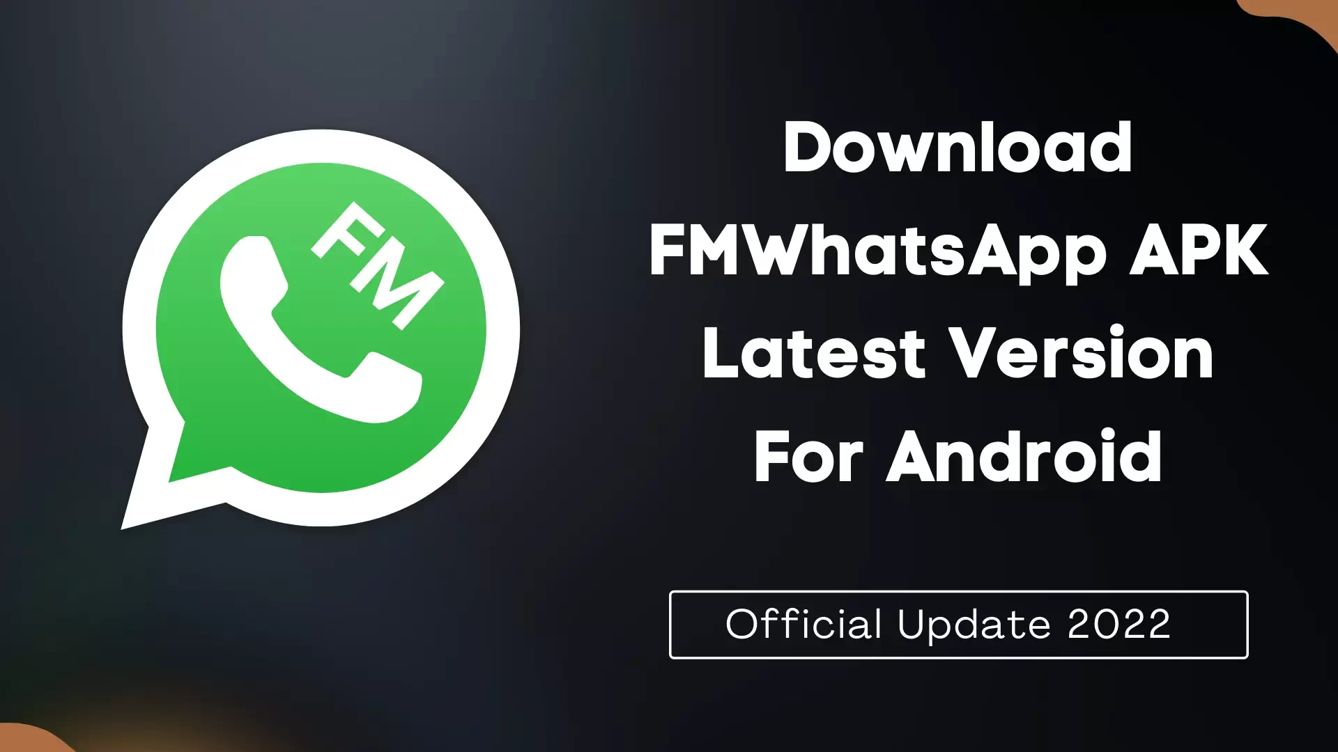 Download FMWhatsApp APK Thumbnail